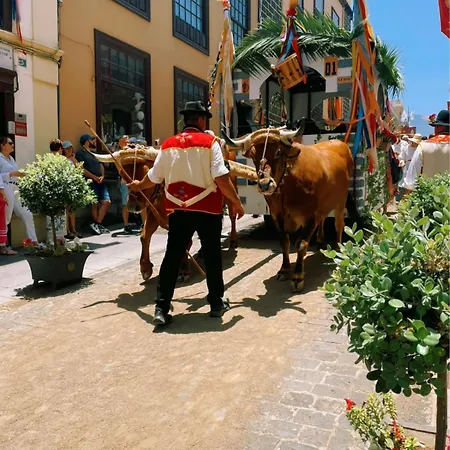 Orocasa7 Gæstehus 3*