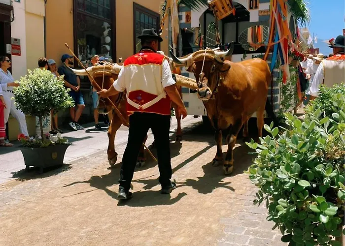 Orocasa7 Pensión 3*