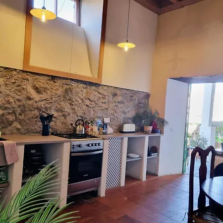 Guest house Orocasa7 3*